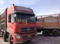 ��I(y��)��Ƭ