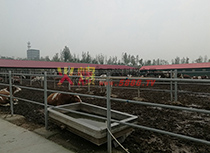 養(yǎng)牛場(chǎng)