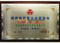 民營企業(yè)家