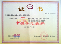 中國(guó)著名品牌證書（2013）