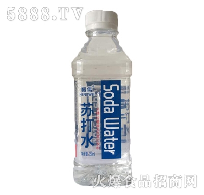 恒偉蘇打水飲料350ml