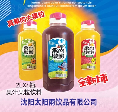 吉派果肉墩墩果肉果汁2L