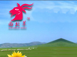 �����п�����I(y��)���޹�˾