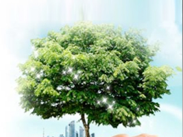 ���ڿ�ʢ����Ƽ����޹�˾