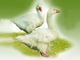 �V���п�̩���ݵ���ӹ����޹�˾