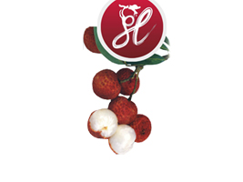 �����������I(y��)���޹�˾