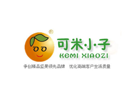 ����С�ӈ�(ji��n)����˾