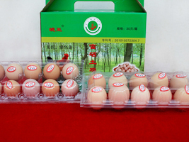 �����������B(t��i)���I(y��)���޹�˾