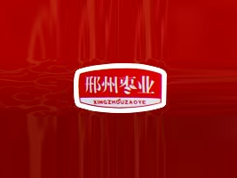 �ӱ����ݗ��I(y��)���޹�˾