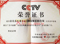 中央電視臺(tái)廣告展播榮譽(yù)證書