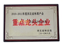 2011���^��I(y��)