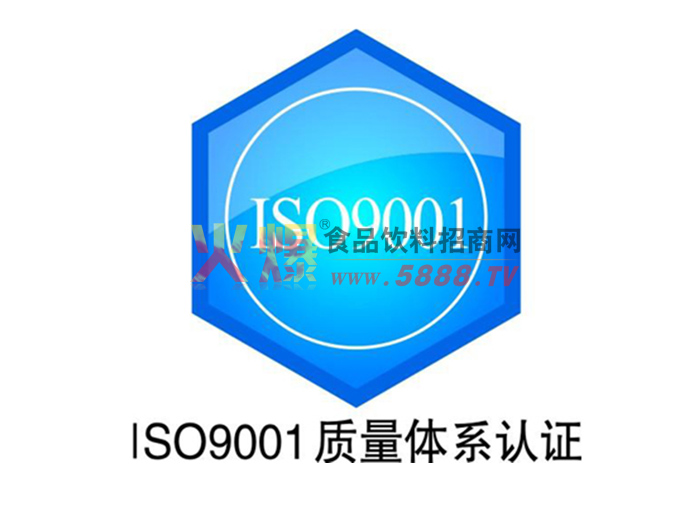 ISO9001質(zhì)量體系認(rèn)證