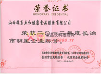 2012年度長治市明星企業(yè)
