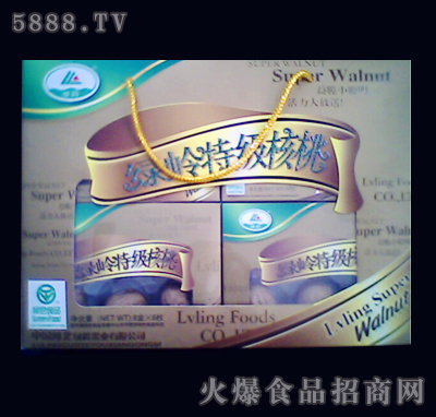 �G�X�ؼ�����