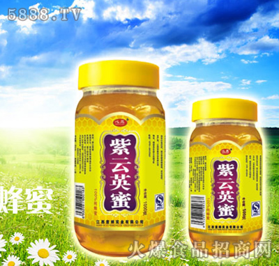 ��(gu��)��(bi��o)����Ӣ����