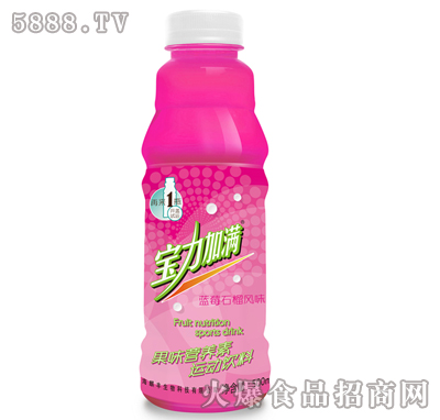 �����ӝM�{ݮʯ���Lζ��ζ�I�B(y��ng)��500ml
