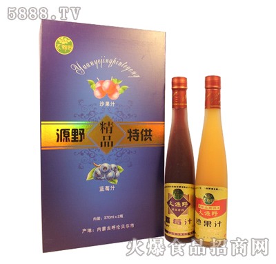 ԴҰƷ{ݮ֭370mlx2ƿ