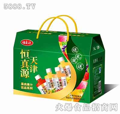 恒真源果肉果汁飲品系列手提綠箱500ml