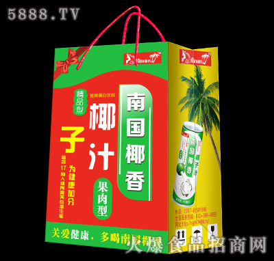 南國(guó)椰香椰子汁24罐裝手挽禮袋