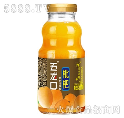 五龍口枇杷汁飲料248ml
