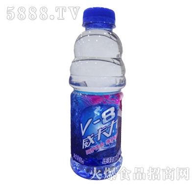 V8ˮζ600ml
