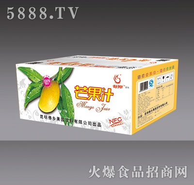 傣鄉(xiāng)果園芒果汁外箱