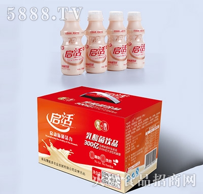 啟活乳酸菌原味箱裝+瓶子