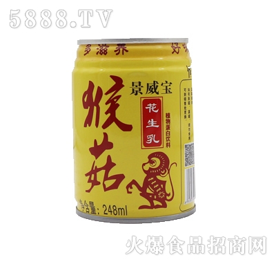 �������ﹽ������248ml