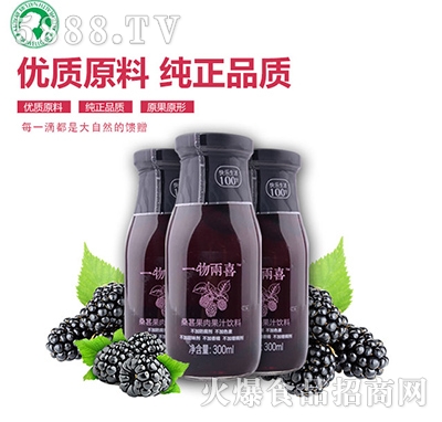 一物兩喜桑葚果肉果汁飲料300ml瓶裝