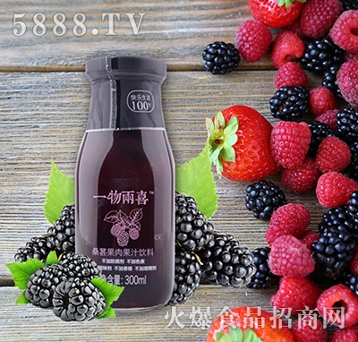 一物兩喜桑葚果肉果汁飲料300ml
