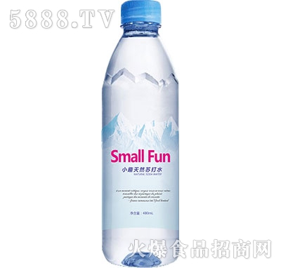 СȤȻKˮ480ml