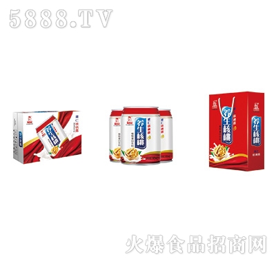 果仁養(yǎng)生核桃露植物蛋白飲料（三件裝）