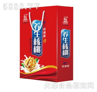 果仁養(yǎng)生核桃露植物蛋白飲料手提裝