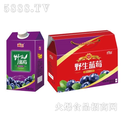 通飛野生藍(lán)莓果味飲料