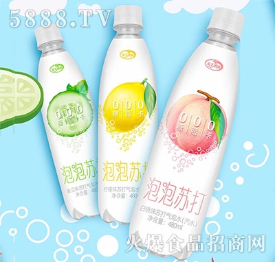 天下水坊泡泡蘇打氣泡水480ml