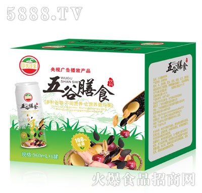 ����������ʳ���960mlX6