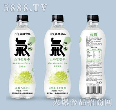 Ԫ��ɭ��ʳƷ�K�����ˮ����ζ480ml