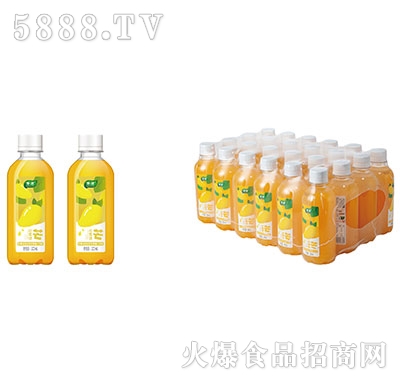 港津芒果味復(fù)合益生菌果汁飲料300mlx24
