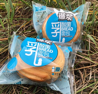 �^���籬�{��������