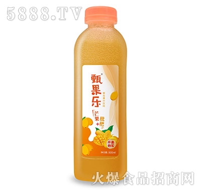 �����â�����ˏͺϹ�֭500ml