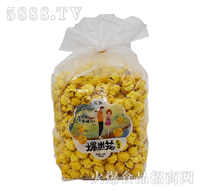 ĳ�ɱ��׻�����ζ500g