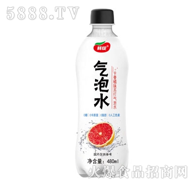 鮮綻卡曼橘味蘇打氣泡水480ml