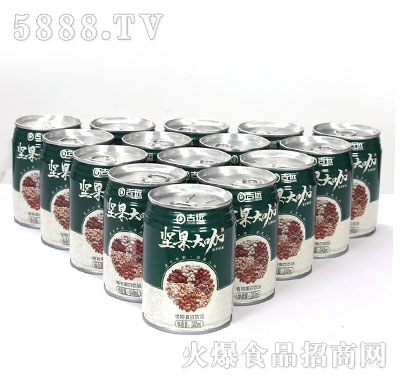 吉遠(yuǎn)堅(jiān)果大咖植物蛋白飲品240ml(罐)