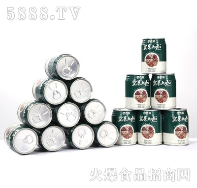 吉遠(yuǎn)堅(jiān)果大咖植物蛋白飲品(罐裝)