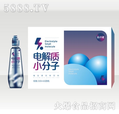 粒汁健電解質小分子維生素風味飲料330mlX20