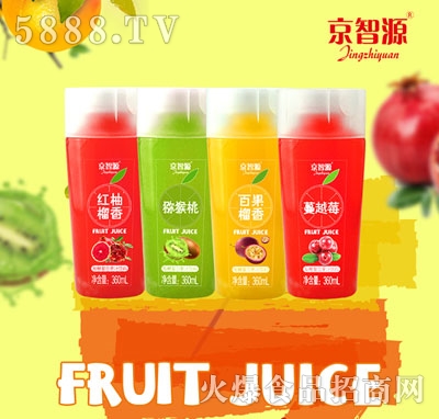 京智源發(fā)酵復(fù)合果汁360ml