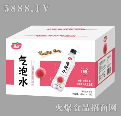 鮮綻白桃味蘇打氣泡水480mlX15