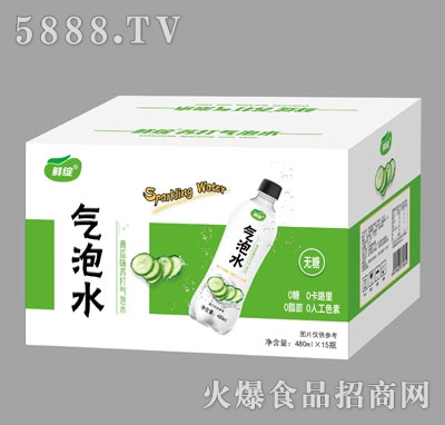 鮮綻青瓜味蘇打氣泡水480mlX15