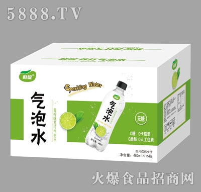 鮮綻青檸味蘇打氣泡水480mlX15