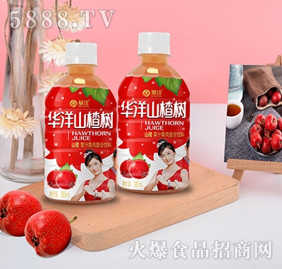 Aɽ高ɽ髏ͺϹ֭380ml